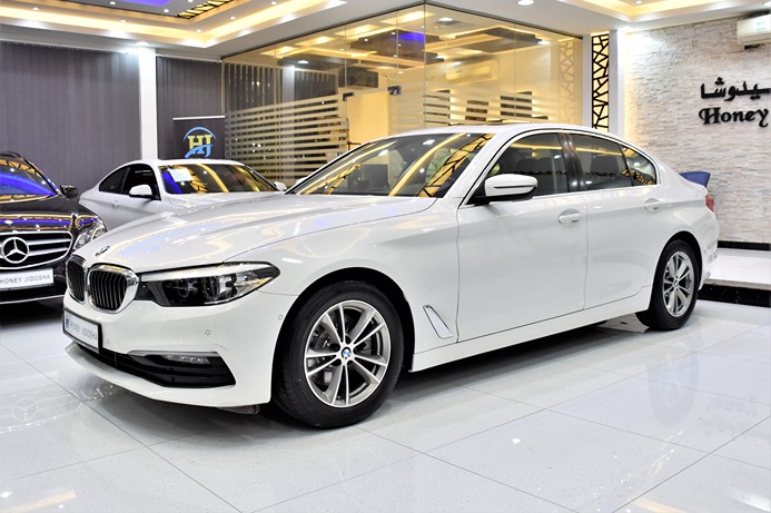 ORIGINAL PAINT ( صبغ وكاله ) EXCELLENT DEAL for our BMW 520i ( 2019 Model ) in White Color GCC Specs