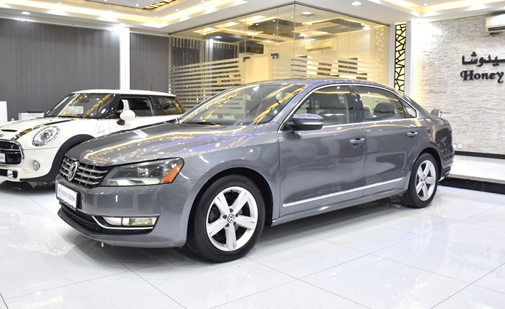 Volkswagen Passat ( 2013 Model ) in Silver / Grey Color GCC Specs